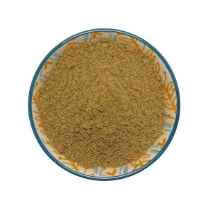 ادویه همبرگر